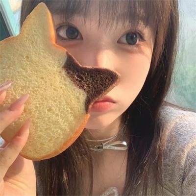 牛群